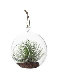 nMOOX{[L GAvc  G K[fjO K[fjOG K[fG