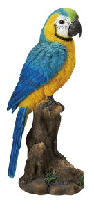 IE u  K[fG I[ig CeA ֐   G K[fjO K[fjOG K[f K[fG