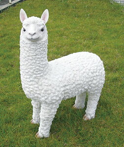 ApJ u I[ig  ֐ G K[fjO K[fjOG K[f K[fG