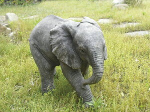 @I[ig@u   ֐ G K[fjO K[fjOG K[f K[fG