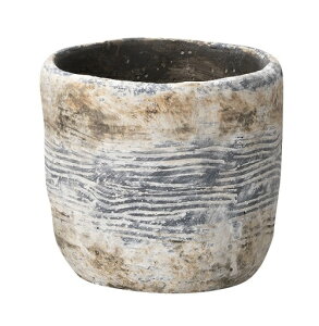 SXv^[S  v^[ K[fjO ֐