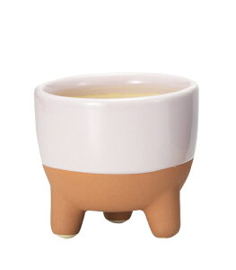 i|bg M CgsN Jo[ v^[ K[fjO CeA ֐ rO