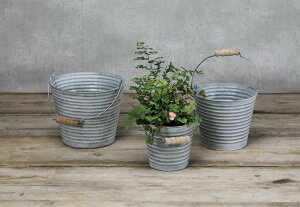 tHXg |bg oXPbg S uL v^[ Jo[ K[fjO CeA ֐ rO