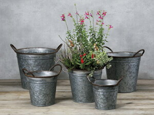 AeB[N oXPbg S uL v^[ Jo[ K[fjO CeA ֐ rO