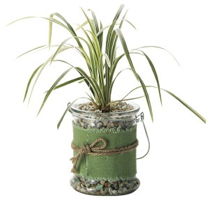 �A�����f�B�R���e�i �O���[�� �K���X �ԕr �t�����[�x�[�X �K�[�f�j���O �C���e���A�� ���֐�� ���r���O�� �Q����