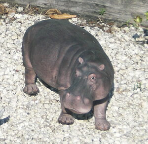 S u I[ig K[fG  Aj} G K[fjO K[fjOG K[f