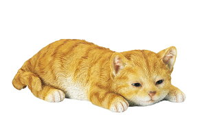 X[sO@`g I[ig@u@  ֐ CeA