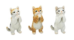 CeA@u 肢LbgSS@3Zbg@  ֐ I[ig