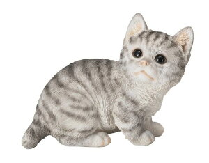 qLu @O[g@lR@I[ig@u@  ֐ CeA