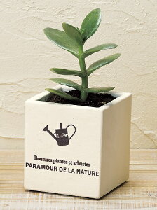 ZO|bg XNGA SS  Jo[ v^[ K[fjO CeA ֐ rO G K[fjO K[fjOG K[f K[fG