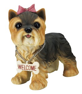 EFJhbO [NVeA@I[ig@u@  ֐ CeA G K[fjO K[fjOG K[fG