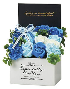 \[vt[{bNXM u[ @ Mtg  ̓  