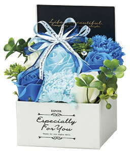 \[vt[{bNXS u[ @ Mtg  ̓  