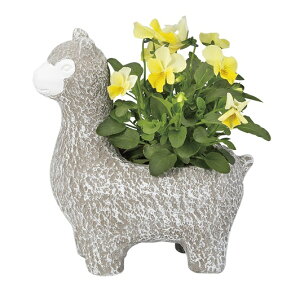 ApJv^[ S @I[ig@u@  ֐ CeA K[fG K[fjO G Jo[