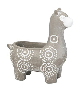 ApJv^[ S @I[ig@u@  ֐ CeA K[fG K[fjO G Jo[