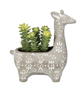 Lv^[ L @I[ig@u@  ֐ CeA K[fG K[fjO G Jo[