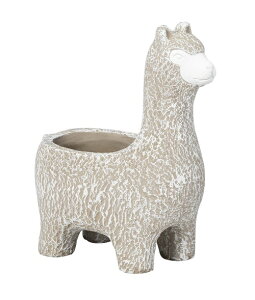 ApJv^[ L @I[ig@u@  ֐ CeA K[fG K[fjO G Jo[