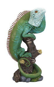 COAiL A@I[ig@u   ֐ CeA | K[fjO K[f K[fjOG K[fG