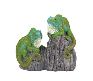 COAi A@I[ig@u   ֐ CeA | K[fjO K[f K[fjOG K[fG