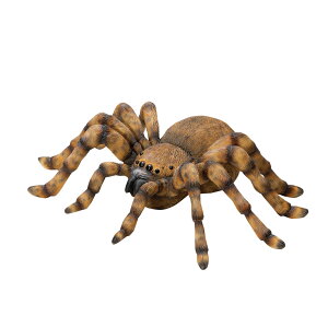 ^` LTCY u K[fG I[ig ঒   ֐  K[fjO K[fjOG K[fG