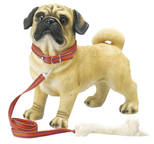 hAXgbp[ pO  I[ig u   ֐ CeA K[fjO K[fjOG K[f K[fG