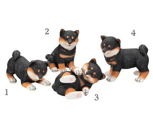 hbN@ā@ā@Č@uCLO@ I[ig  u G K[fjO K[fjOG