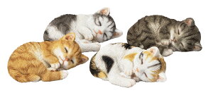 qL@@X[sO@I[ig@u@  ֐ CeA lR G K[fjO K[fjOG K[f K[fG