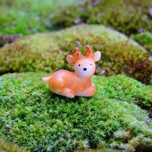 VJ  2.4cm ~j`A WI} ͌^ ۃeE  tBMA