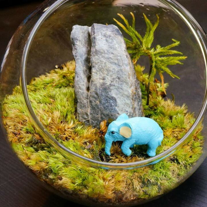 楽天市場 ゾウ 象 2色 ミニチュア ジオラマ 動物模型 苔テラリウム おもちゃ フィギュア 苔庵介る