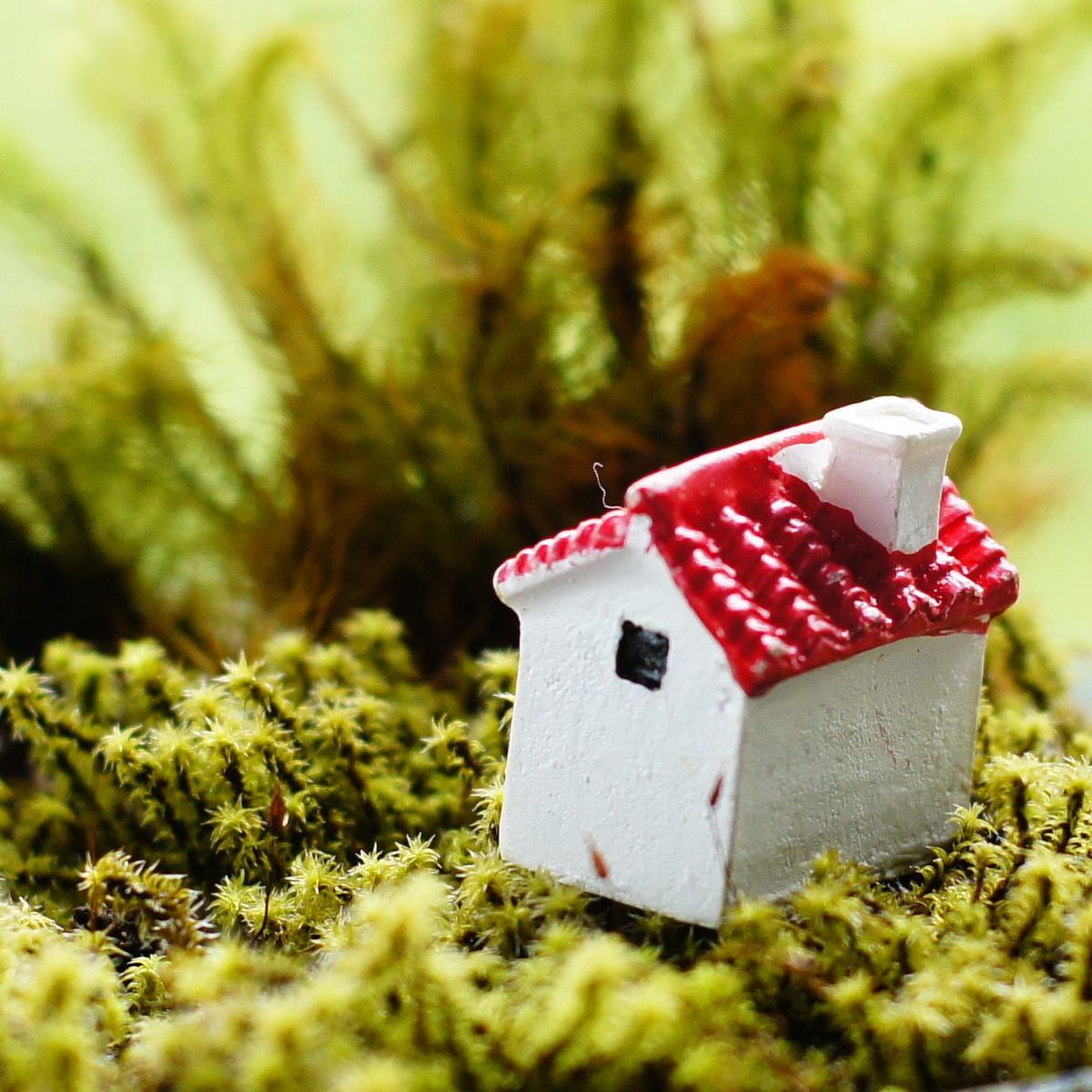 2色 赤 緑 カラフルな屋根の家 高さ2.6cm　ミニチュア　ジオラマ　動物模型 苔テラリウム おもちゃ フィギュア | 苔庵介る