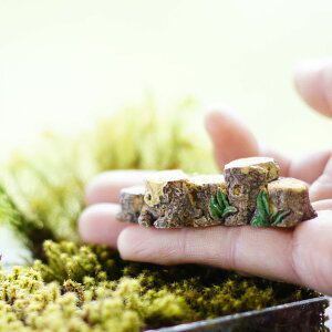 񂾐؂芔 6.5cm  X̕i ~j`A@WI}@͌^ ۃeE  tBMA