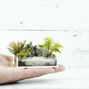 ~j 8cm ̂ЂTCY ۃeE i ۖ~i eE CE