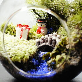 楽天市場 電球 観葉植物 花 観葉植物 花 ガーデン Diyの通販