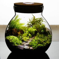 【完成品】LEDライト付き 苔テラリウム 草原に続く道 ボトル 作家手作り 母の日 プレゼント 誕生日 ギフ…