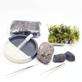 信楽焼の苔盆景 溶岩石 苔と器が選べる 作成キット12cm すぐに始められるピンセット付き！苔テラリウム