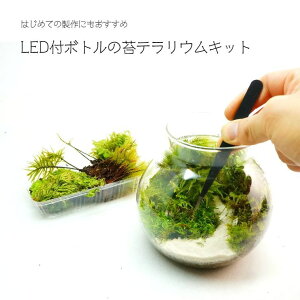 ボトル テラリウムの人気商品 通販 価格比較 価格 Com