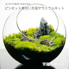 【スターターキット】苔テラリウム 青龍石 8-16cm 全4サイズ 届いてすぐ作れる 作り方ガイド付 ピンセット付き 母の日 プレゼント ギフト 入学祝い 新生活 歓迎会 送別会 DIY 初心者 観葉植物 インテリア こけテラリウム