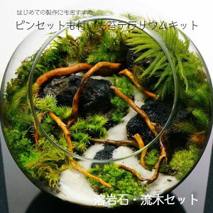 Arrf01myb Jjfm