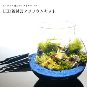 yX^[^[Lbgz킢STCY  10cm LED ۃeE {geE Cgt{g ۃZbg ~j`AtV  wj } ʉ v[g  S҂