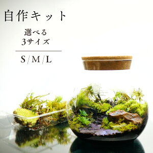 ۃeE yLbgzLED CgWt | Ώ􃌃CAEg | {geE SOK Mtg v[g 蕨 ͂Ă KCht DIY ϗtA V w  