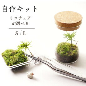 【制作キット】苔テラリウム コンパクト65mm ミニチュア付き ボトルテラリウム 母の日 プレゼント ギフト 入学祝い 新生活 歓迎会 送別会 コウヤノマンネングサ カサゴケ 自作 ハンドメイド 初心者 観葉植物 インテリア こけテラリウム
