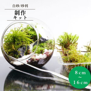 yX^[^[Lbgz8|16cm  Zbg ۃeE eE V wj } ʉ v[g REm}lOT  쐬Lbg nhCh  Mtg C