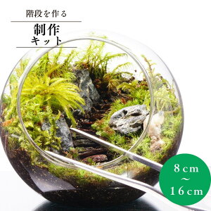 yX^[^[Lbgz8|16cm Ki ۃeE eE V wj } ʉ zCgf[ v[g  쐬Lbg nhCh  Mtg CeA ϗtA