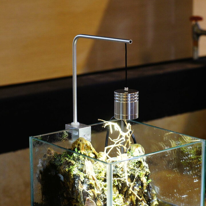 楽天市場 Led ペンダントランプ スポットライト L アクアリウムボトルテラリウム 苔テラリウム 苔盆景にも 苔庵介る 楽天市場 Led ペンダントランプ スポットライト L アクアリウムボトルテラリウム 苔テラリウム 苔盆景にも 苔庵介る