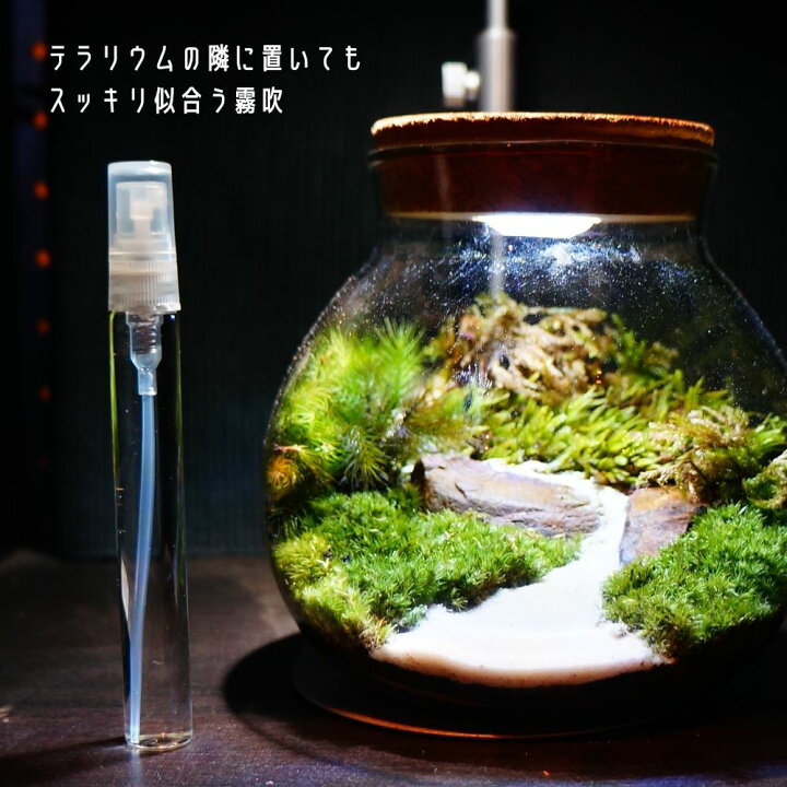 https://tshop.r10s.jp/moss-scale/cabinet/06025734/imgrc0085320409.jpg?fitin=720%3A720