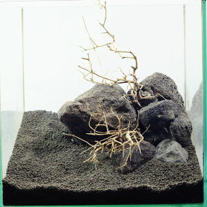 yzn ؃Zbg 30L[uTCY ANAeE ANAE eE 