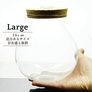 ۃeE e LEDCgt RNW KX{g {gE |bg {E   hCt[ WI} CeA GAvc ϗtA bZ[W{g RNV