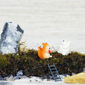 楽天市場 テラリウム 動物の通販