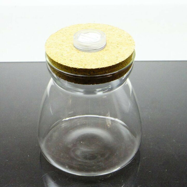 楽天市場 M Ledライト付き コルク蓋 ガラスボトル 苔テラリウム容器 ボトリウム ボトルアクアリウム 蓋付 苔庵介る 楽天市場 M Ledライト付き コルク蓋 ガラスボトル 苔テラリウム容器 ボトリウム ボトルアクアリウム 蓋付 苔庵介る