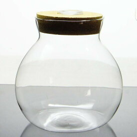 【M】LEDライト付き コルク蓋 ガラスボトル 苔テラリウム容器 ボトリウム ボトルアクアリウム